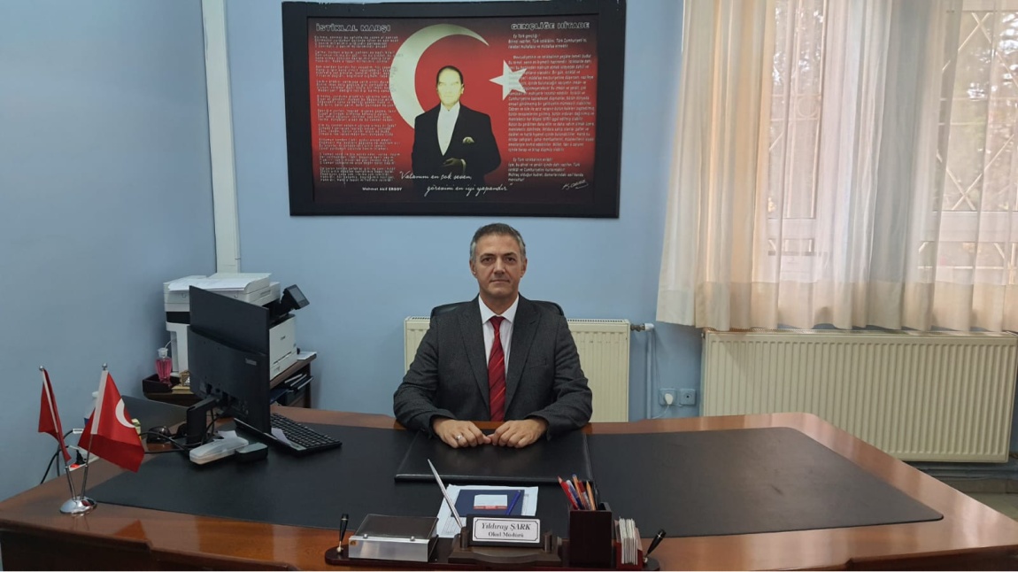 Yıldıray ŞARK - Müdür