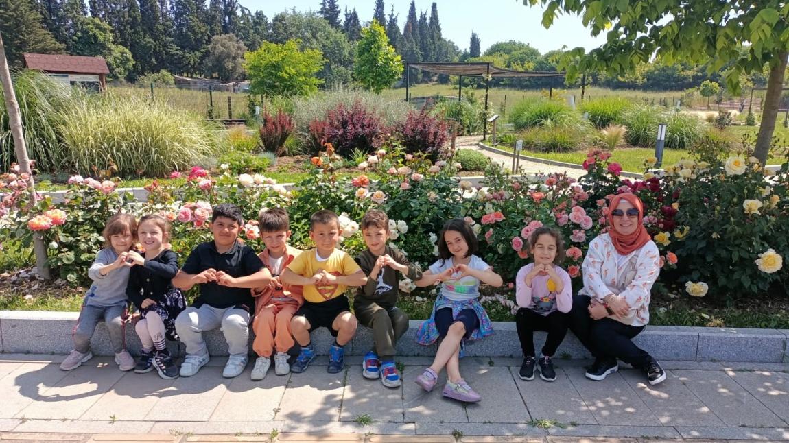 HERSEK KUŞ GÖZLEM EVİ, DİLBURNU DENİZ FENERİ  ALTINOVA KENT MÜZESİ GEZİMİZ 